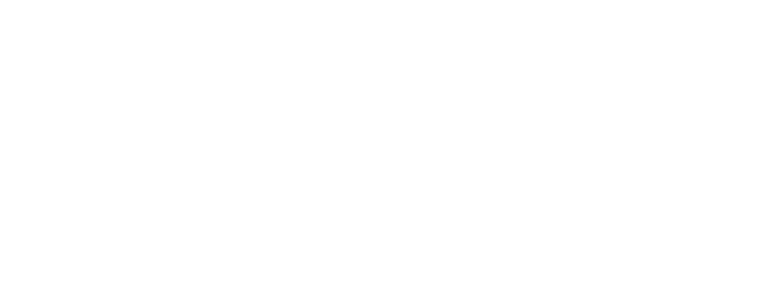 Histomer Professional Logo